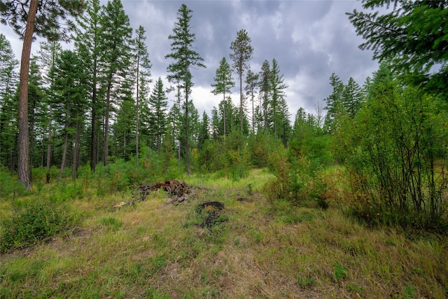 view of local wilderness