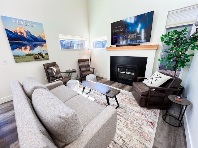 living room featuring hardwood / wood-style floors