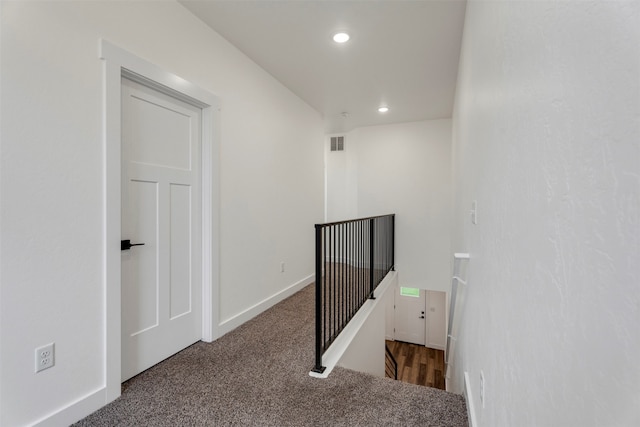 stairway featuring carpet floors