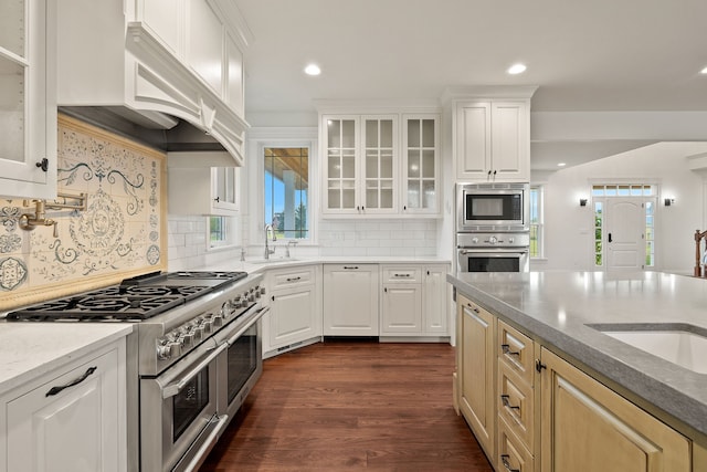 kitchen featuring stainless steel appliances, dark hardwood / wood-style floors, tasteful backsplash, and a wealth of natural light