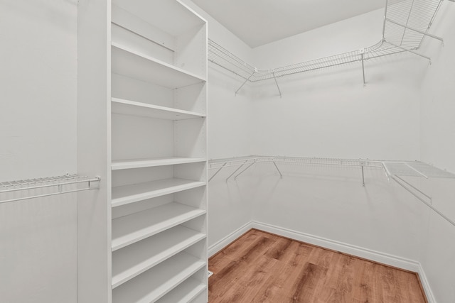 walk in closet with light hardwood / wood-style floors