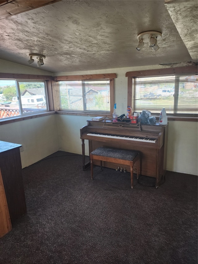 miscellaneous room with dark colored carpet