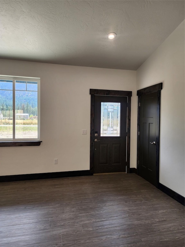 foyer with dark hardwood / wood-style flooring, lofted ceiling, and a textured ceiling