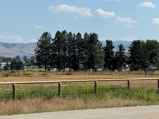 view of yard featuring a mountain view and a rural view