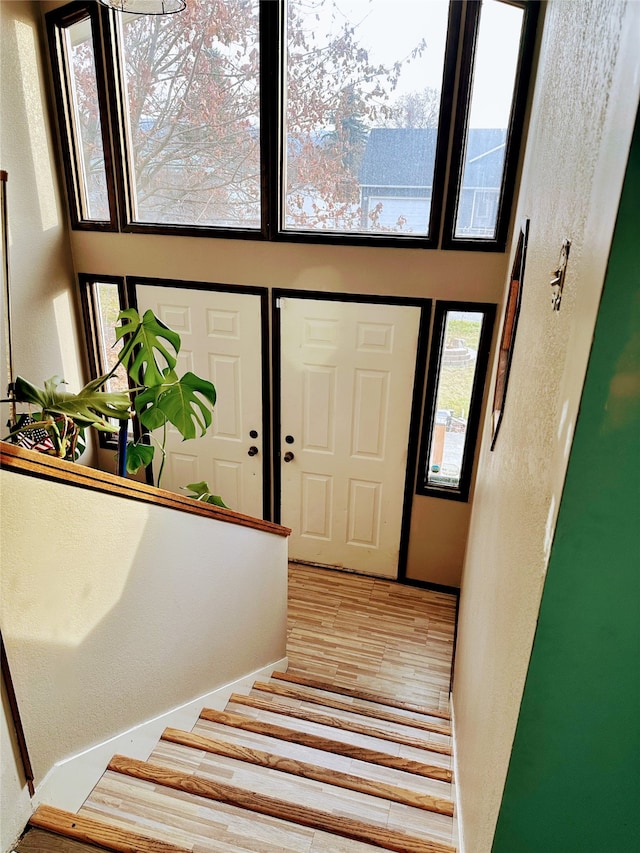 foyer with hardwood / wood-style floors