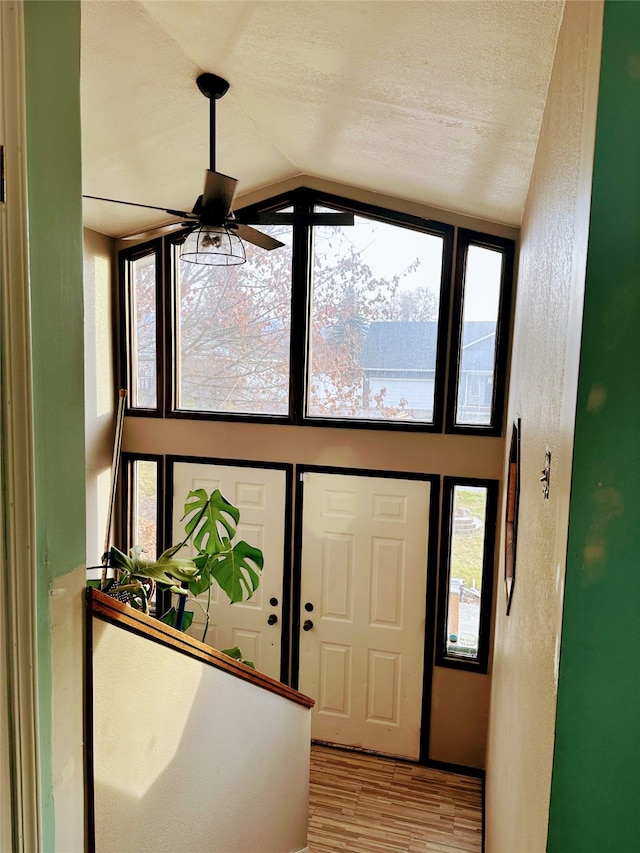 entrance foyer featuring light hardwood / wood-style floors, vaulted ceiling, and a healthy amount of sunlight