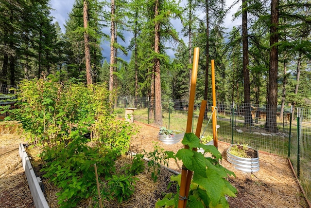 346 Crystal Lakes Dr, Eureka, MT 59917 - view of yard with a vegetable garden and fence