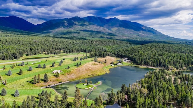 346 Crystal Lakes Dr, Eureka, MT 59917 - drone / aerial view of a heavily wooded area and a water and mountain view