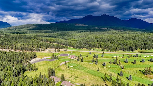 346 Crystal Lakes Dr, Eureka, MT 59917 - mountain view with a heavily wooded area