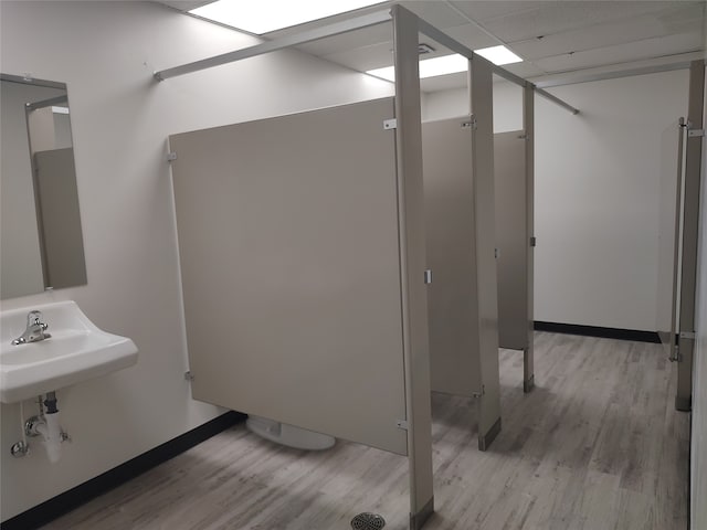 bathroom featuring wood-type flooring and sink