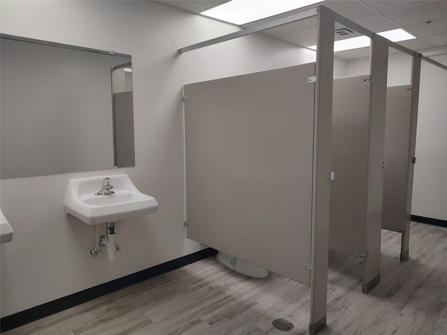 bathroom with sink, hardwood / wood-style flooring, and a paneled ceiling