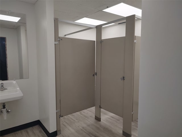 bathroom with a paneled ceiling, sink, and hardwood / wood-style flooring