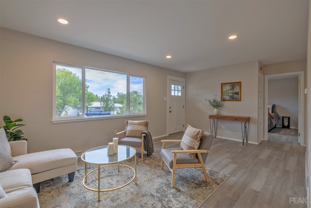 living room with light hardwood / wood-style flooring