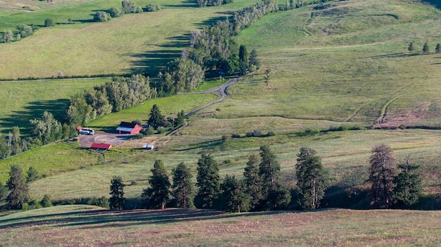 aerial view with a rural view