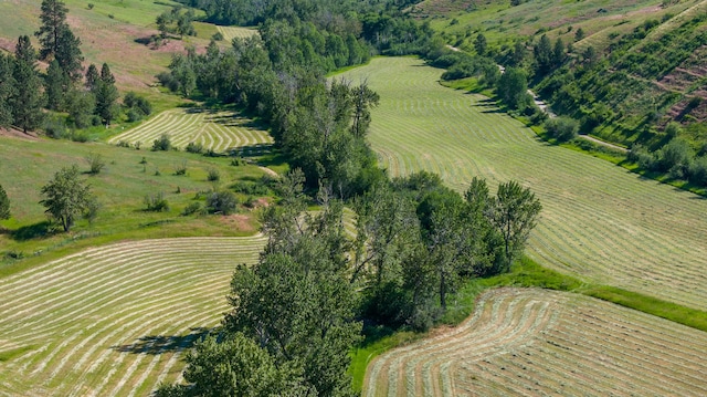 birds eye view of property with a rural view