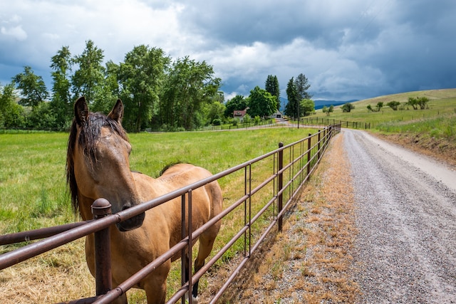 view of road with a rural view