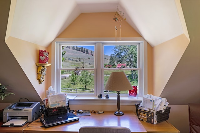 home office featuring vaulted ceiling, hardwood / wood-style floors, and a wealth of natural light