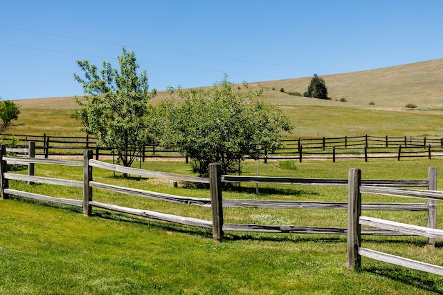 view of yard featuring a rural view