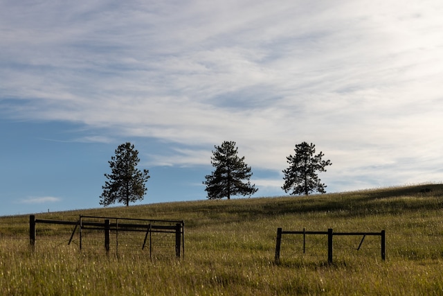 view of yard with a rural view