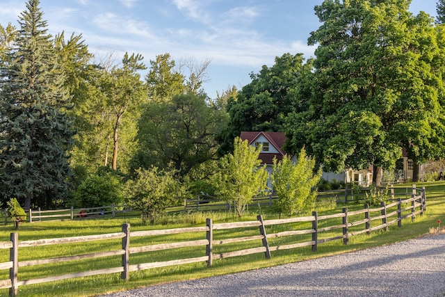 view of yard featuring a rural view