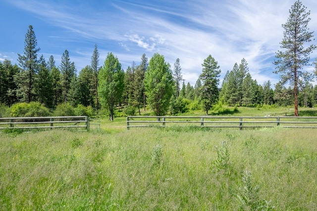 view of yard featuring a rural view