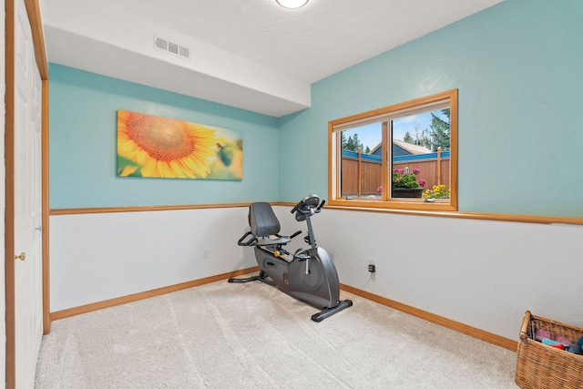 exercise room with carpet