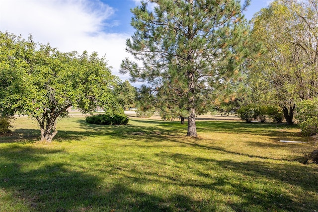 3938 US Highway 93 N, Stevensville, MT 59870 - view of yard