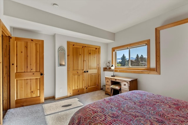 carpeted bedroom with a closet