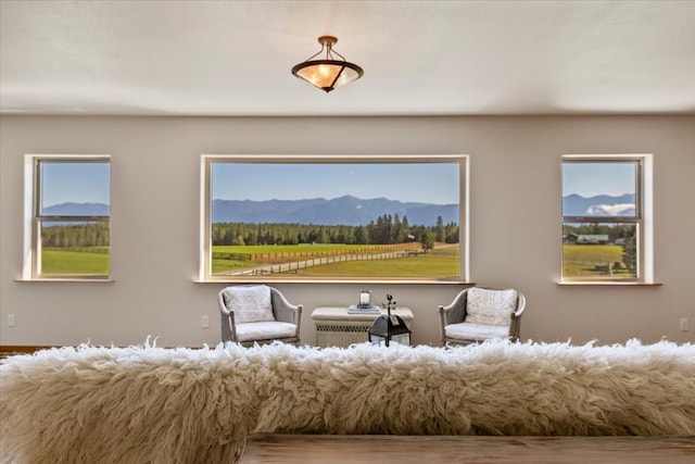 interior space featuring a mountain view and hardwood / wood-style floors