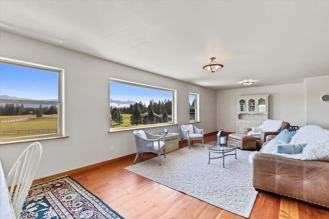 living room featuring a wealth of natural light and hardwood / wood-style floors