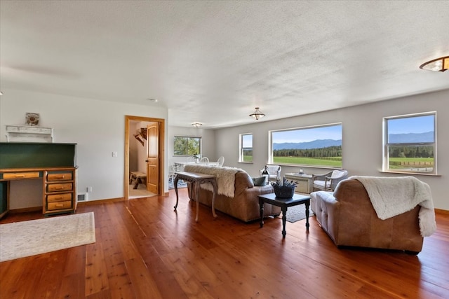 living room featuring a mountain view, hardwood / wood-style floors, and a textured ceiling