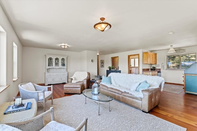 living room featuring hardwood / wood-style flooring