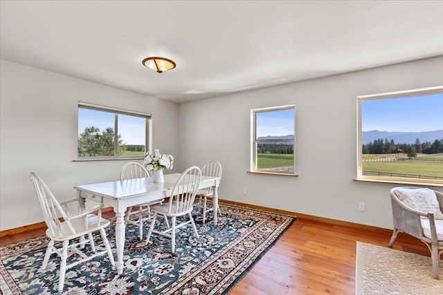 dining area with a mountain view, hardwood / wood-style flooring, and a wealth of natural light