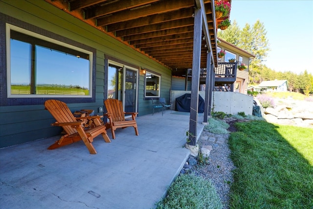 view of patio / terrace featuring area for grilling