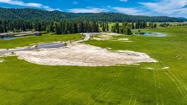 325 River Ranch Rd, Whitefish, MT 59937 - view of mountain backdrop featuring a heavily wooded area and a nearby body of water