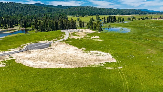 325 River Ranch Rd, Whitefish, MT 59937 - bird's eye view of a water and mountain view and a forest