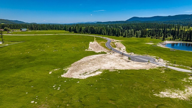325 River Ranch Rd, Whitefish, MT 59937 - drone / aerial view of a water and mountain view and a forest