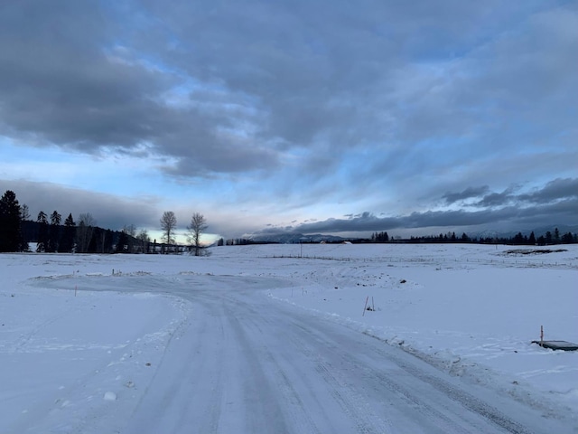 325 River Ranch Rd, Whitefish, MT 59937 - view of snowy yard