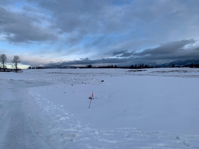 325 River Ranch Rd, Whitefish, MT 59937 - view of yard covered in snow