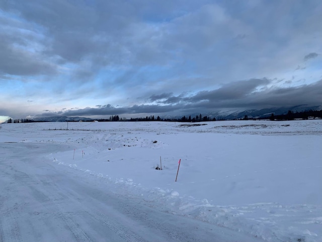 325 River Ranch Rd, Whitefish, MT 59937 - view of yard covered in snow