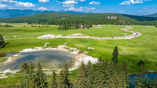 325 River Ranch Rd, Whitefish, MT 59937 - aerial view of property and surrounding area with a forest and a water and mountain view