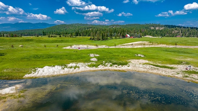 325 River Ranch Rd, Whitefish, MT 59937 - bird's eye view of a heavily wooded area and a mountainous background