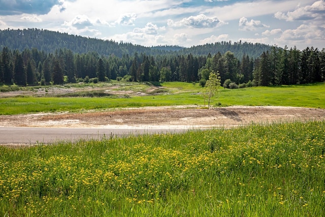 325 River Ranch Rd, Whitefish, MT 59937 - view of mountain background with a heavily wooded area