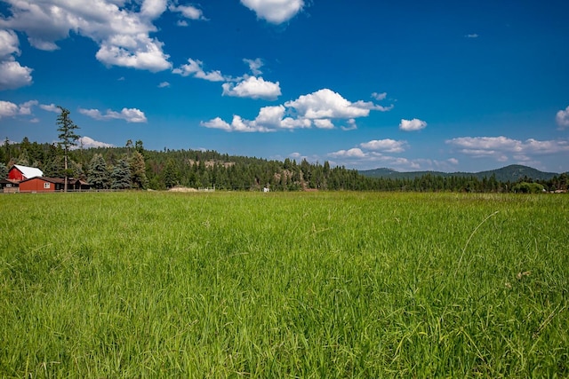 325 River Ranch Rd, Whitefish, MT 59937 - view of woods with a mountain view