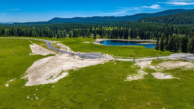 325 River Ranch Rd, Whitefish, MT 59937 - bird's eye view of a forest and a water and mountain view