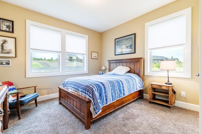 bedroom featuring carpet floors