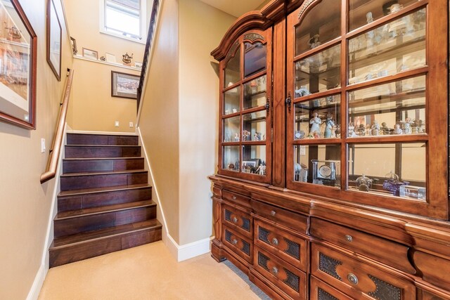 stairs with carpet floors