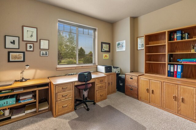 office area with light carpet