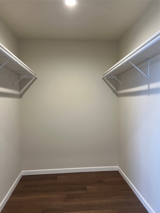 walk in closet featuring dark wood-type flooring