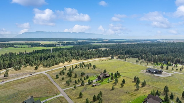 bird's eye view featuring a mountain view and a rural view